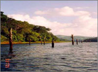 Periyar Thekkady