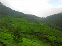 Munnar