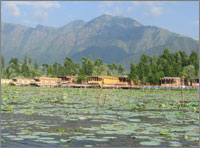 Gulmarg – Srinagar