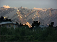 Local Sight Seen of Manali