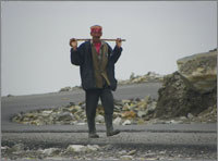 Transfer To Dalhosie