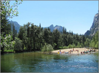 Yosemite Park